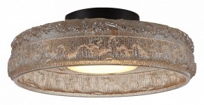 Накладной светильник ST-Luce ANTIKE SL6143.422.01 в Нытве - nytva.ok-mebel.com | фото 3