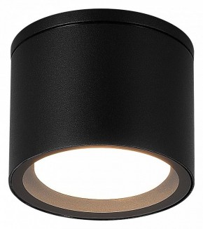 Накладной светильник ST-Luce Tubo SL9006.402.01 в Нытве - nytva.ok-mebel.com | фото 2