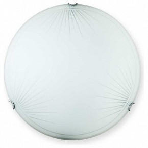 Накладной светильник TopLight Wifa TL9142Y-00WH в Нытве - nytva.ok-mebel.com | фото