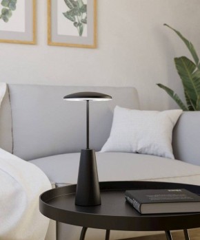 Настольная лампа декоративная Eglo PICCOLA 900925 в Нытве - nytva.ok-mebel.com | фото 4