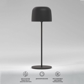 Настольная лампа декоративная Elektrostandard Bitty a069002 в Нытве - nytva.ok-mebel.com | фото 2
