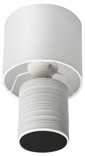 Настольная лампа декоративная Lumion Tuala 8144/1Т в Нытве - nytva.ok-mebel.com | фото 3