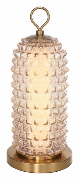 Настольная лампа декоративная ST-Luce SAGUARO SL6144.304.01 в Нытве - nytva.ok-mebel.com | фото 2