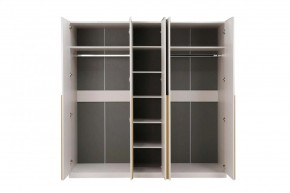 НИКОЛЬ 25 Шкаф 5-ти створчатый в Нытве - nytva.ok-mebel.com | фото 3