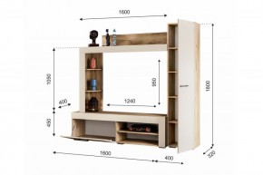 НИКОЛЬ Гостиная (Дуб крафт серый/софт айвори) в Нытве - nytva.ok-mebel.com | фото 2