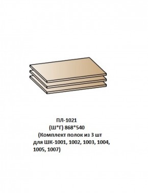 ПЛ-1021 (Комплект полок из 3 шт для ШК-1001, 1002, 1003, 1004, 1005, 1007) в Нытве - nytva.ok-mebel.com | фото