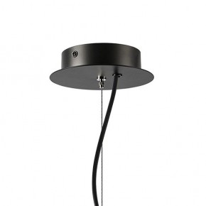 Подвесная люстра Lightstar Ragno 733187 в Нытве - nytva.ok-mebel.com | фото 7