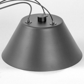 Подвесная люстра Lussole Hopkins LSP-7408 в Нытве - nytva.ok-mebel.com | фото 7