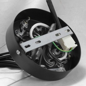 Подвесная люстра Lussole Seneca GRLSP-8177 в Нытве - nytva.ok-mebel.com | фото 10