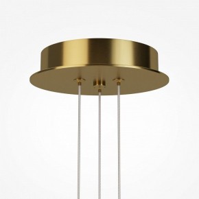 Подвесная люстра Maytoni Arana MOD401PL-L108BS3K в Нытве - nytva.ok-mebel.com | фото 7