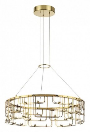 Подвесная люстра Odeon Light ZAHA 7060/44L в Нытве - nytva.ok-mebel.com | фото 2