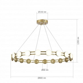 Подвесная люстра ST-Luce MONRO SL6610.203.20 в Нытве - nytva.ok-mebel.com | фото 5