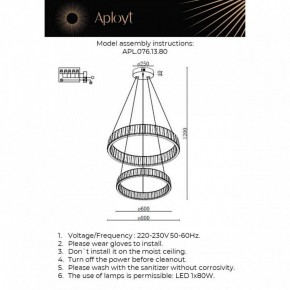 Подвесной светильник Aployt Oriann APL.076.13.80 в Нытве - nytva.ok-mebel.com | фото 2