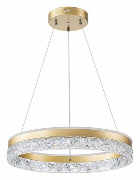 Подвесной светильник Arte Lamp Apollo A2549SP-75GO в Нытве - nytva.ok-mebel.com | фото 2