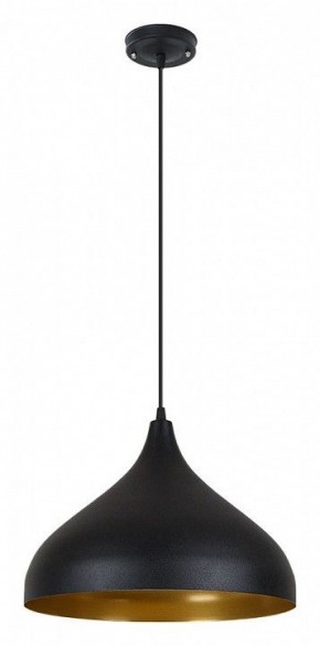 Подвесной светильник Arte Lamp Carmel A7076SP-1BK в Нытве - nytva.ok-mebel.com | фото 2