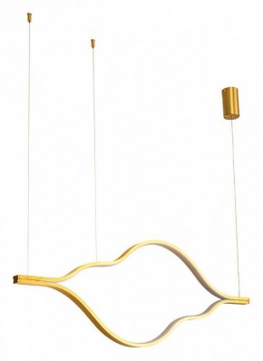 Подвесной светильник Arte Lamp Odyssey A2911SP-31GO в Нытве - nytva.ok-mebel.com | фото 2