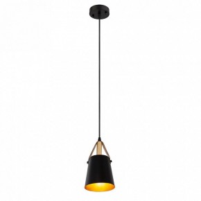 Подвесной светильник Arte Lamp Thomas A7032SP-1BK в Нытве - nytva.ok-mebel.com | фото 3