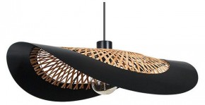 Подвесной светильник Arte Lamp Woodstock A7059SP-1BK в Нытве - nytva.ok-mebel.com | фото