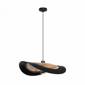 Подвесной светильник Arte Lamp Woodstock A7059SP-1BK в Нытве - nytva.ok-mebel.com | фото 2