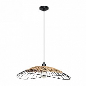 Подвесной светильник Arte Lamp Woodstock A7061SP-1BK в Нытве - nytva.ok-mebel.com | фото 2