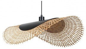 Подвесной светильник Arte Lamp Woodstock A7063SP-1BK в Нытве - nytva.ok-mebel.com | фото