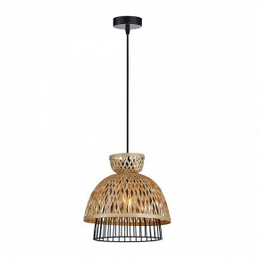 Подвесной светильник Arte Lamp Woodstock A7070SP-1BK в Нытве - nytva.ok-mebel.com | фото