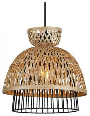 Подвесной светильник Arte Lamp Woodstock A7070SP-1BK в Нытве - nytva.ok-mebel.com | фото 2
