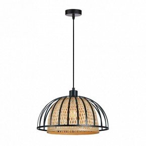 Подвесной светильник Arte Lamp Woodstock A7071SP-1BK в Нытве - nytva.ok-mebel.com | фото