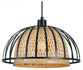 Подвесной светильник Arte Lamp Woodstock A7071SP-1BK в Нытве - nytva.ok-mebel.com | фото 2