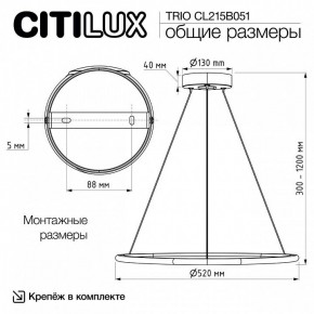 Подвесной светильник Citilux Trio CL215B051 в Нытве - nytva.ok-mebel.com | фото 8