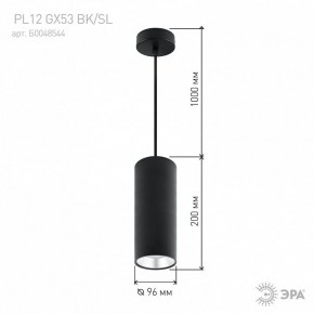 Подвесной светильник Эра  PL12 GX53 BK/SL в Нытве - nytva.ok-mebel.com | фото 8