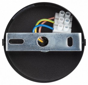 Подвесной светильник Эра  PL12 GX53 BK/SL в Нытве - nytva.ok-mebel.com | фото 9