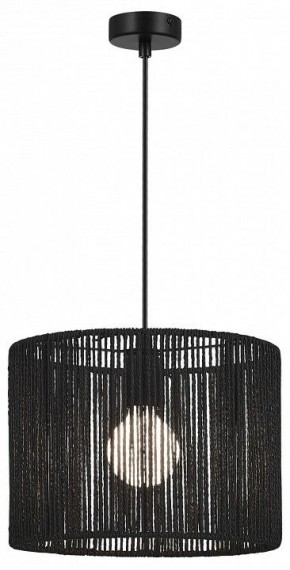 Подвесной светильник EVOLUCE ETTAN SLE6024-403-01 в Нытве - nytva.ok-mebel.com | фото 2
