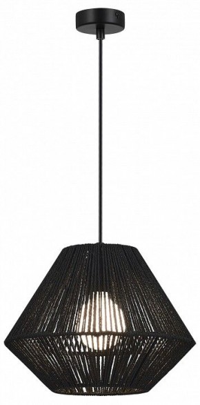 Подвесной светильник EVOLUCE ETTAN SLE6025-403-01 в Нытве - nytva.ok-mebel.com | фото 2