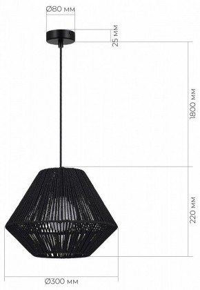 Подвесной светильник EVOLUCE ETTAN SLE6025-403-01 в Нытве - nytva.ok-mebel.com | фото 5