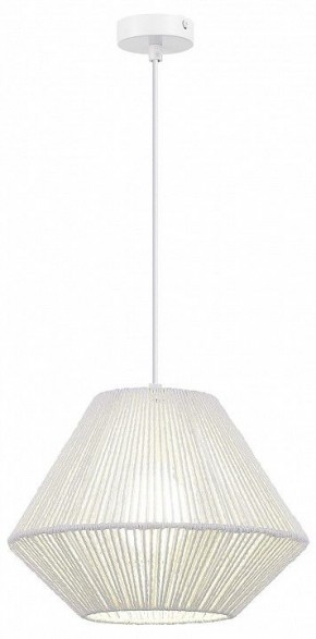 Подвесной светильник EVOLUCE ETTAN SLE6025-503-01 в Нытве - nytva.ok-mebel.com | фото