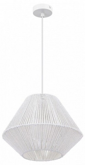 Подвесной светильник EVOLUCE ETTAN SLE6025-503-01 в Нытве - nytva.ok-mebel.com | фото 3