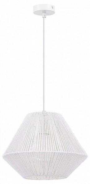 Подвесной светильник EVOLUCE ETTAN SLE6025-503-01 в Нытве - nytva.ok-mebel.com | фото 4