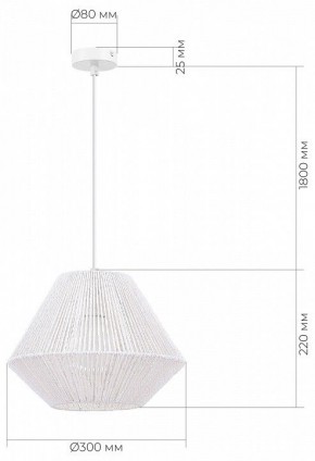 Подвесной светильник EVOLUCE ETTAN SLE6025-503-01 в Нытве - nytva.ok-mebel.com | фото 6