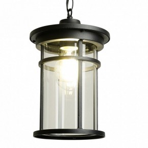 Подвесной светильник Feron PL765 51819 в Нытве - nytva.ok-mebel.com | фото 3