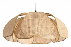 Подвесной светильник Freya Cocoon FR5529PL-01B в Нытве - nytva.ok-mebel.com | фото