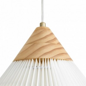 Подвесной светильник Freya Kinsley FR5533PL-01BS в Нытве - nytva.ok-mebel.com | фото 8