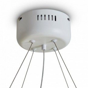 Подвесной светильник Freya Rain FR5546PL-L60W в Нытве - nytva.ok-mebel.com | фото 9