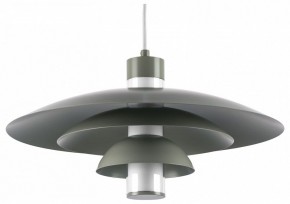 Подвесной светильник Lightstar Erbareo 799019 в Нытве - nytva.ok-mebel.com | фото
