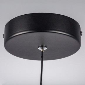 Подвесной светильник Lightstar Saturno 749017 в Нытве - nytva.ok-mebel.com | фото 12
