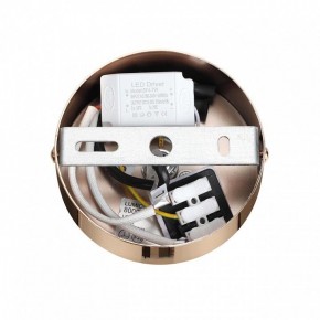 Подвесной светильник Lumion Cristie 8009/6L в Нытве - nytva.ok-mebel.com | фото 6