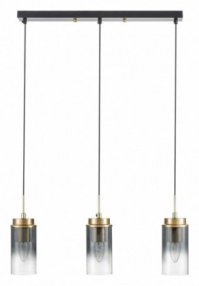 Подвесной светильник Lumion Isha 8101/3A в Нытве - nytva.ok-mebel.com | фото 6