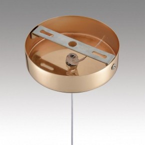 Подвесной светильник Lumion Rimini 8083/1A в Нытве - nytva.ok-mebel.com | фото 7
