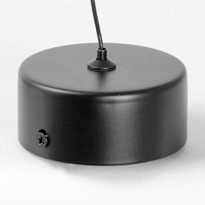 Подвесной светильник Lussole Blount LSP-7356 в Нытве - nytva.ok-mebel.com | фото 6