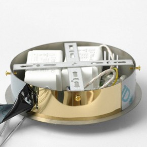 Подвесной светильник Lussole Citrus LSP-7158 в Нытве - nytva.ok-mebel.com | фото 6